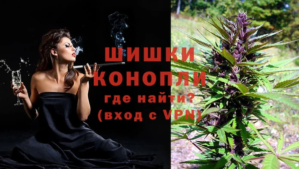 MESCALINE Гусь-Хрустальный