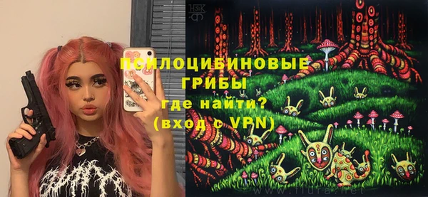 стафф Алексин