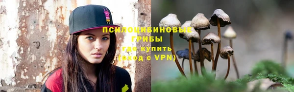 стафф Алексин