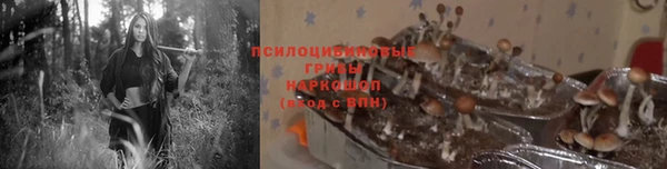 соль ск Алексеевка