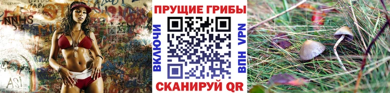 Псилоцибиновые грибы мицелий  Нижний Ломов 
